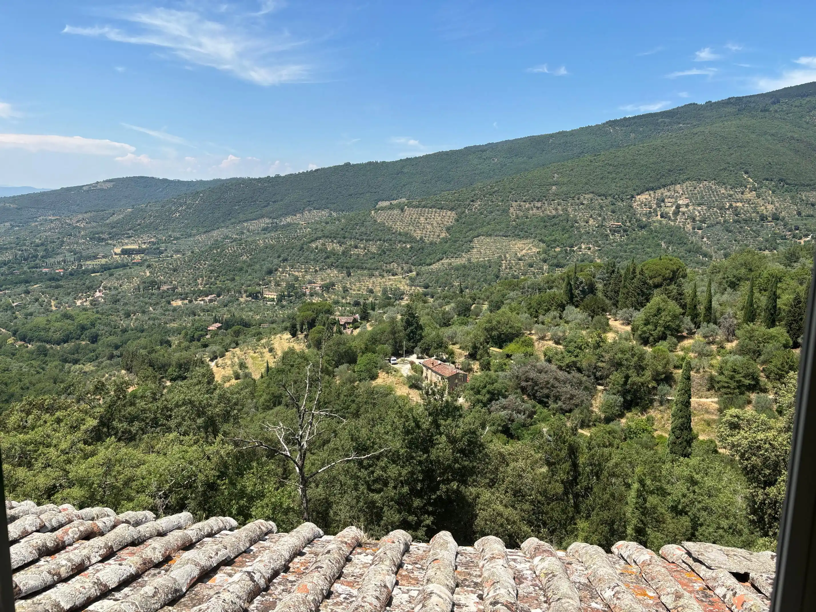 Villa Il Bacchino